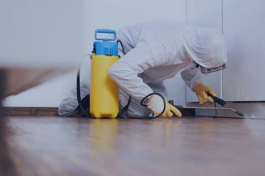 pest control in Manchester