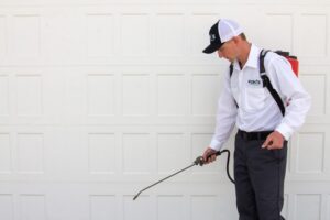 Food Storage Mistakes That Attract Cockroaches in Elgin